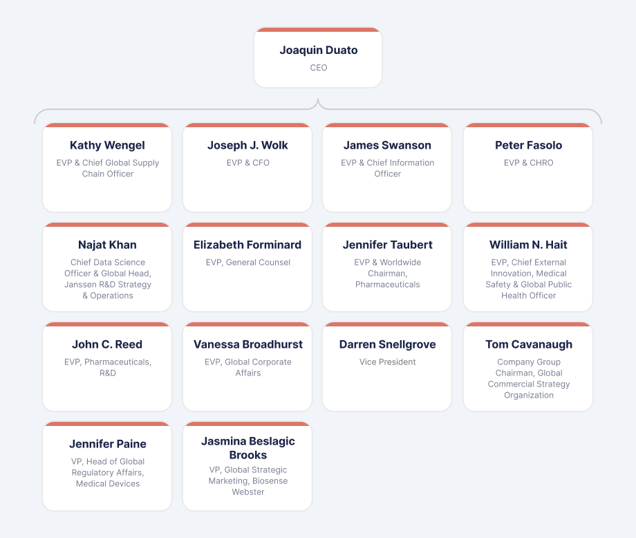 Decentralized and Dynamic Johnson & Johnson's Organizational Structure